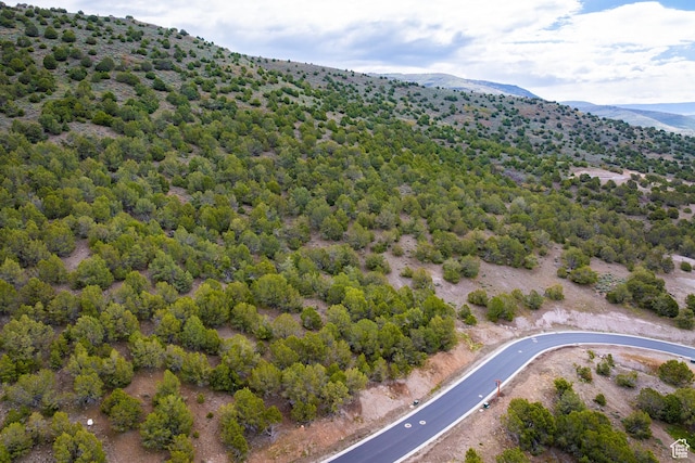 2993 E Ln Sal Peak Dr, Heber City, UT 84032