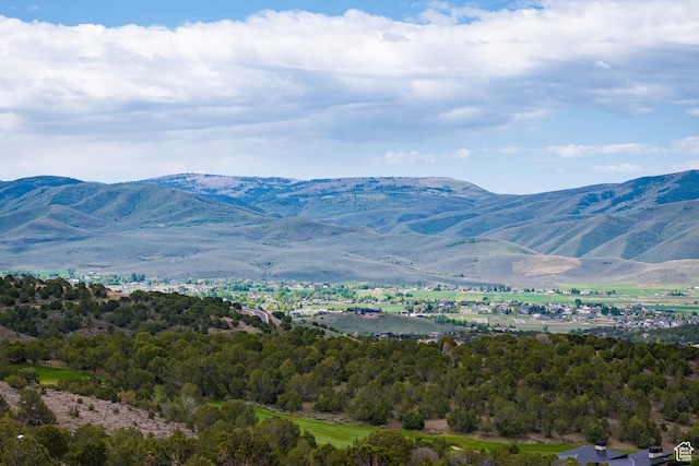 2993 E Ln Sal Peak Dr, Heber City, UT 84032