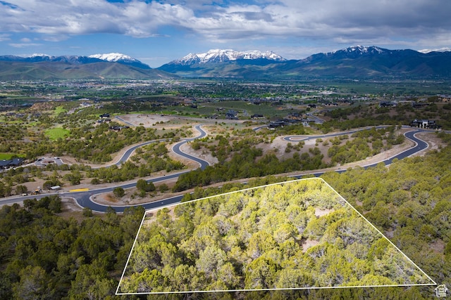 2993 E Ln Sal Peak Dr, Heber City, UT 84032