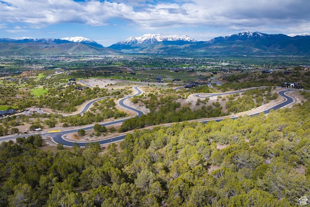2993 E Ln Sal Peak Dr, Heber City, UT 84032