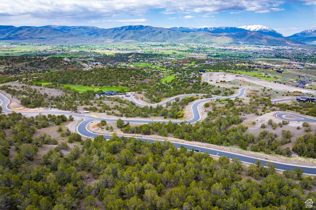 2993 E Ln Sal Peak Dr, Heber City, UT 84032
