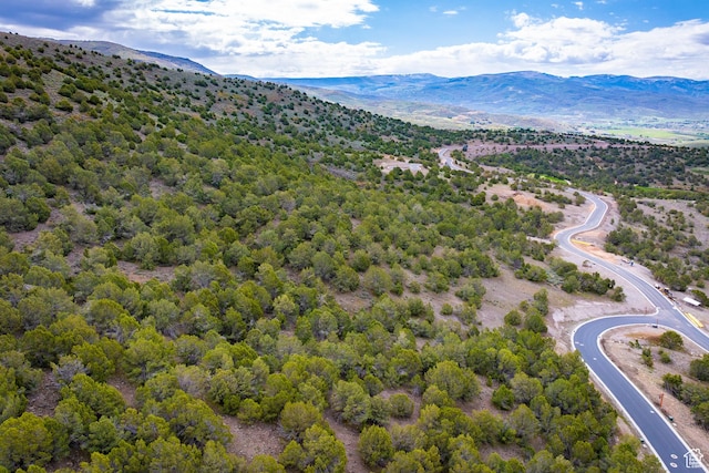 2993 E Ln Sal Peak Dr, Heber City, UT 84032
