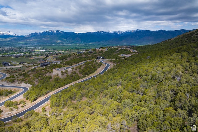 2993 E Ln Sal Peak Dr, Heber City, UT 84032