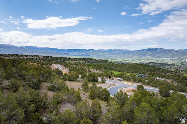 2993 E Ln Sal Peak Dr, Heber City, UT 84032