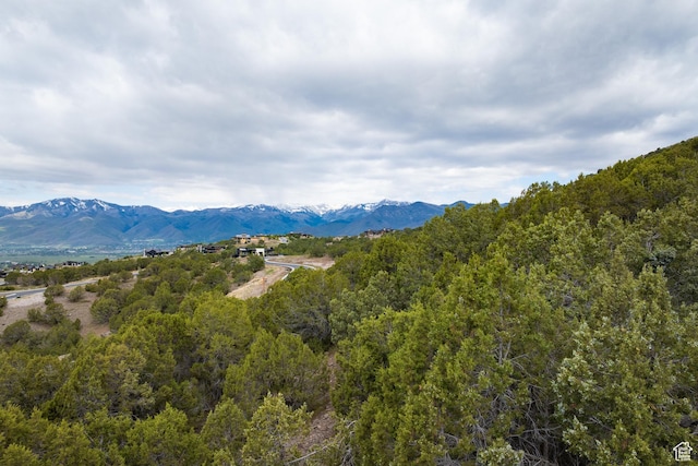 2993 E Ln Sal Peak Dr, Heber City, UT 84032