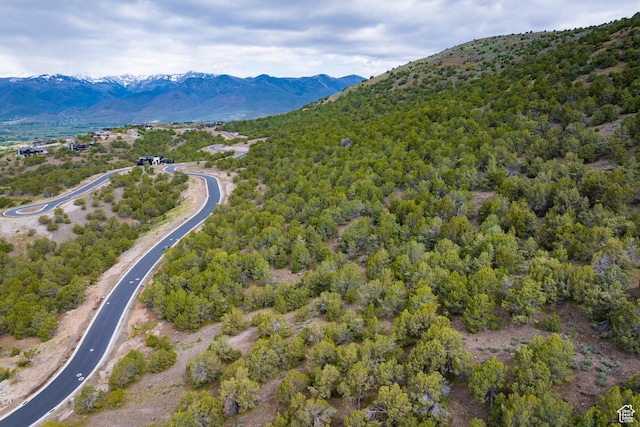 2993 E Ln Sal Peak Dr, Heber City, UT 84032