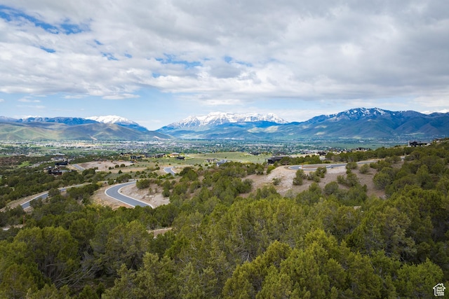 2993 E Ln Sal Peak Dr, Heber City, UT 84032