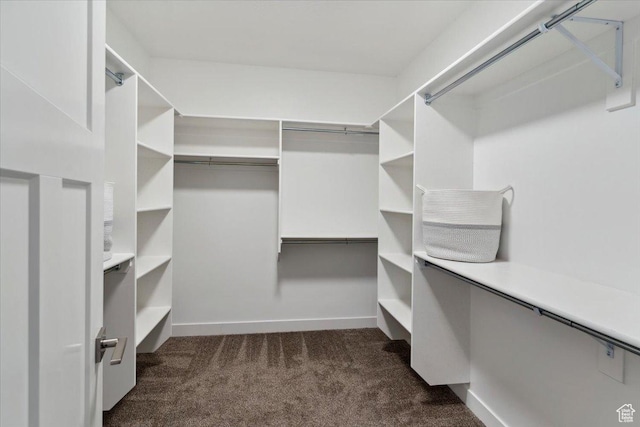 3222 W Harvard Dr, Mountain Green, UT 84050 - walk in closet with dark carpet