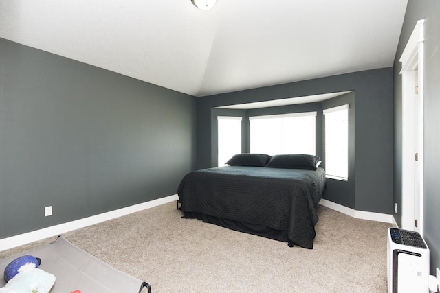 312 W 970 N, Tooele, UT 84074 - carpeted bedroom with baseboards and lofted ceiling