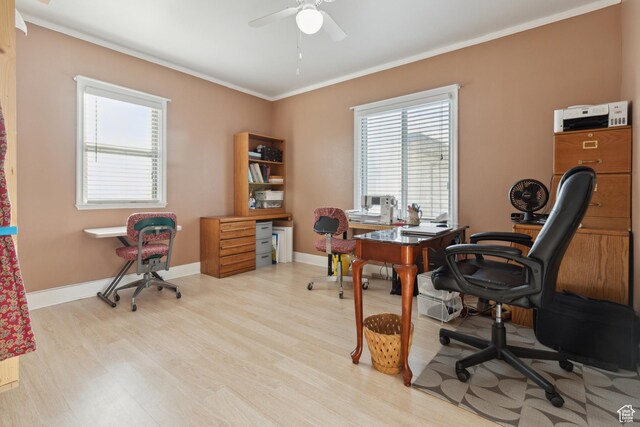 1095 N 100 W, Pleasant Grove, UT 84062 - office space with light wood-style floors, a ceiling fan, crown molding, plenty of natural light, and baseboards