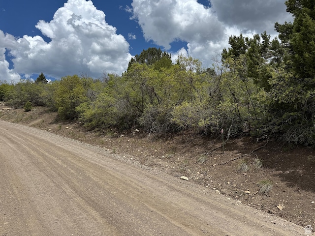 22480 N 13198 E Unit 9, Fairview, UT 84629