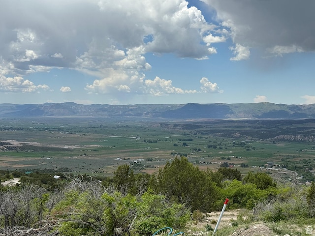22480 N 13198 E Unit 9, Fairview, UT 84629