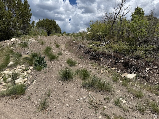 22480 N 13198 E Unit 9, Fairview, UT 84629