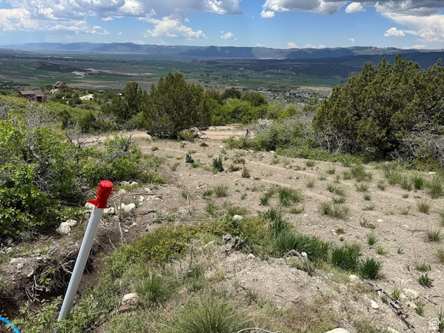 22480 N 13198 E Unit 9, Fairview, UT 84629