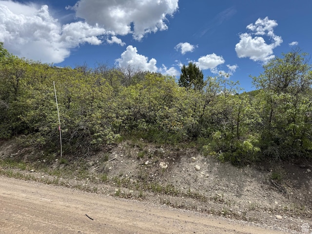 22480 N 13198 E Unit 9, Fairview, UT 84629