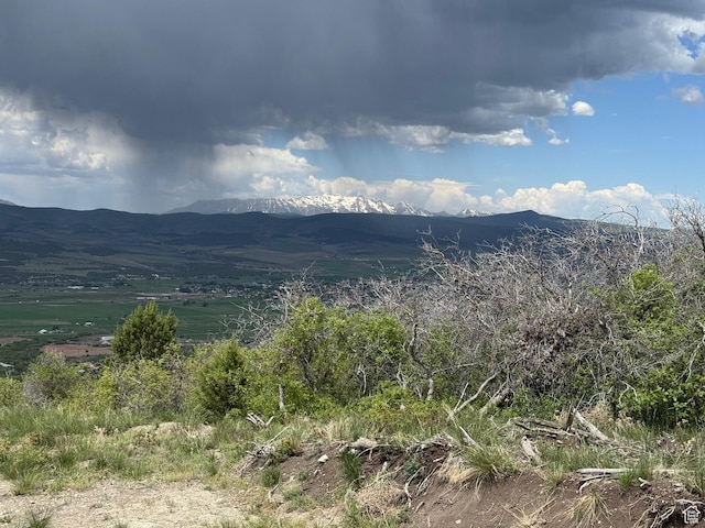 22480 N 13198 E Unit 9, Fairview, UT 84629