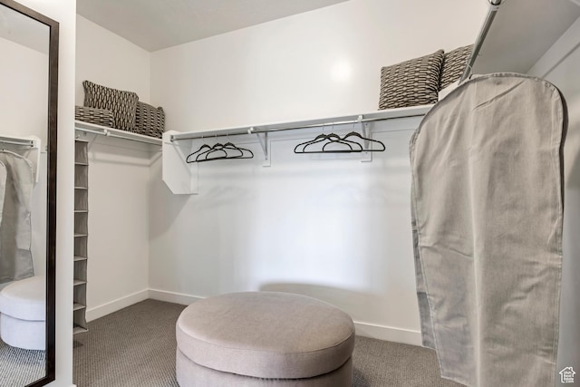 873 S 120 W Unit 003, American Fork, UT 84003 - spacious closet with carpet flooring