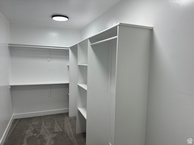9152 S Cripple Creek Cir W, West Jordan, UT 84088 - walk in closet with dark colored carpet