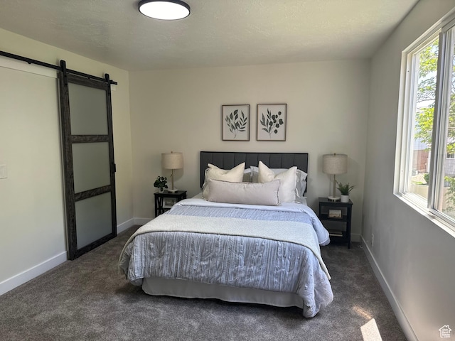 9152 S Cripple Creek Cir W, West Jordan, UT 84088 - carpeted bedroom with a barn door and baseboards