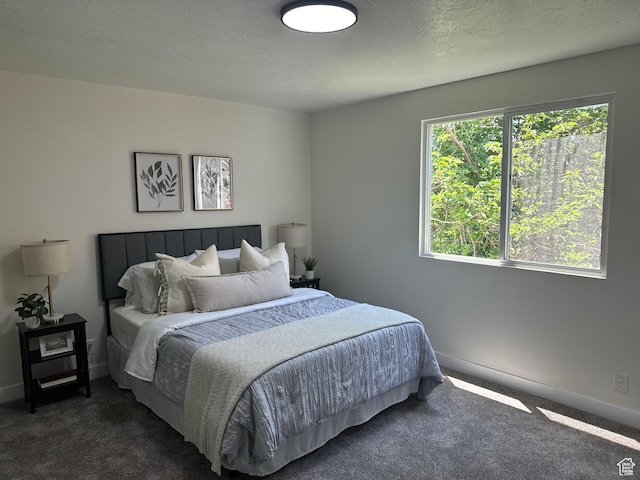 9152 S Cripple Creek Cir W, West Jordan, UT 84088 - bedroom featuring dark colored carpet and baseboards