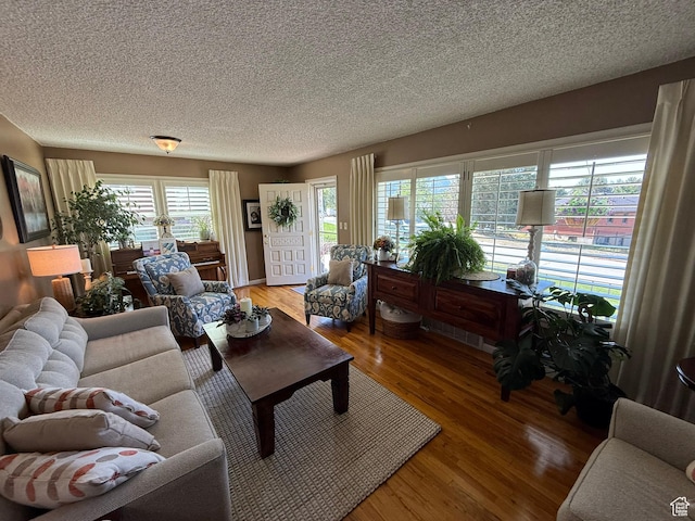 272 E 3000 N, North Ogden, UT 84414 - living room with a textured ceiling and light wood-style flooring