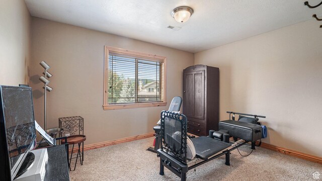 1988 Fieldstone Ln, Heber City, UT 84032 - sitting room with carpet and baseboards