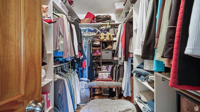 1988 Fieldstone Ln, Heber City, UT 84032 - view of spacious closet