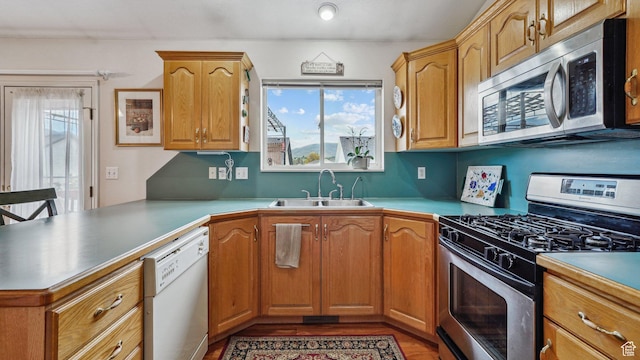 677 E 110 N, Heber City, UT 84032 - kitchen with stainless steel appliances, a sink, a peninsula, light wood-style flooring, and light countertops