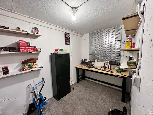 505 W 300 N, Orangeville, UT 84537 - office space with a workshop area, carpet, and a textured ceiling