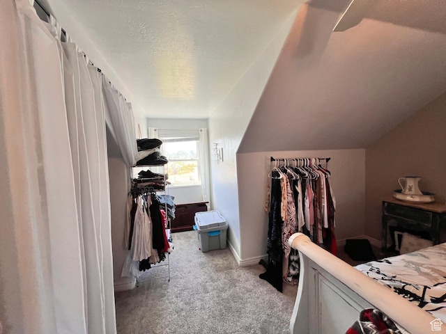 505 W 300 N, Orangeville, UT 84537 - spacious closet with light carpet