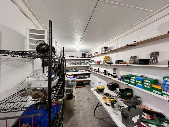 505 W 300 N, Orangeville, UT 84537 - view of storage room