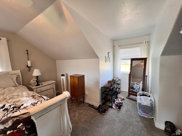 505 W 300 N, Orangeville, UT 84537 - bedroom featuring carpet flooring, lofted ceiling, and baseboards