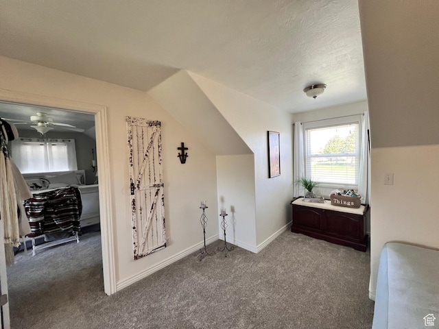 505 W 300 N, Orangeville, UT 84537 - bonus room with carpet, ceiling fan, and baseboards
