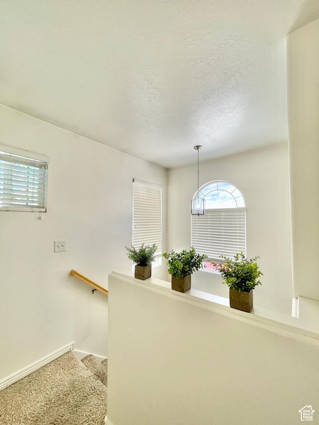 652 W 800 N Unit 112, Clinton, UT 84015 - stairs featuring plenty of natural light, baseboards, a textured ceiling, and carpet floors