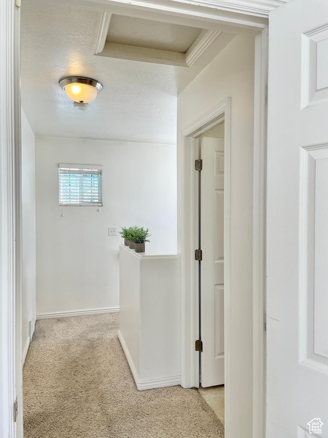 652 W 800 N Unit 112, Clinton, UT 84015 - hall featuring carpet floors and baseboards