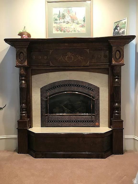 4093 Imperial Way, Provo, UT 84604 - detailed view of a fireplace and carpet