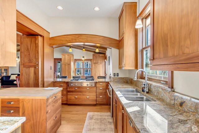 15 S 1200 E, Salt Lake City, UT 84102 - kitchen with a sink, light wood-type flooring, brown cabinetry, a peninsula, and lofted ceiling