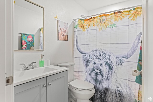 1725 N State St, Sigurd, UT 84657 - full bathroom featuring vanity and a shower with shower curtain