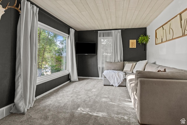 3510 Porter Ave, Ogden, UT 84403 - living area with carpet floors and wood ceiling