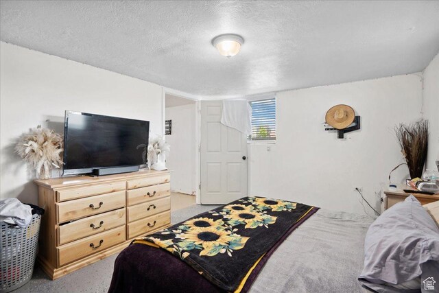 2137 W 6200 S, Salt Lake City, UT 84129 - bedroom with a textured ceiling