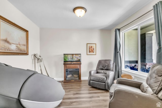 276 N Elk Ridge Dr, Elk Ridge, UT 84651 - living room featuring light wood-style flooring, a glass covered fireplace, and baseboards
