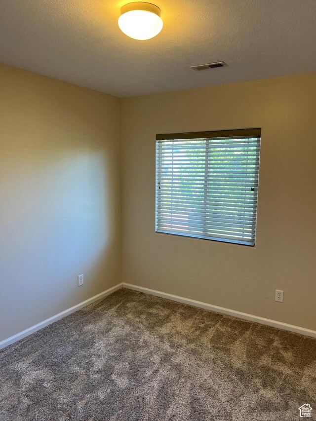 15146 S Walnut Grove Dr, Draper, UT 84020 - carpeted empty room with baseboards
