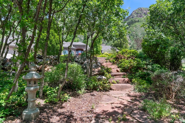 76 N Bald Mountain Dr, Alpine, UT 84004