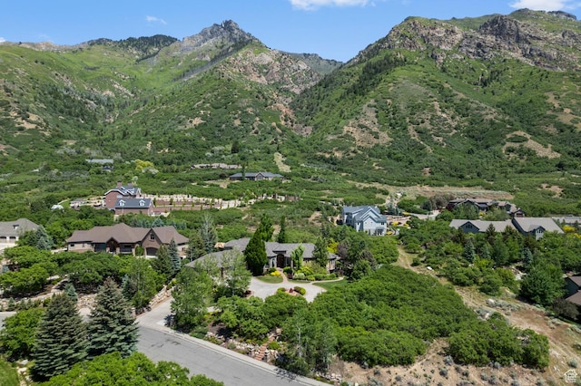 76 N Bald Mountain Dr, Alpine, UT 84004