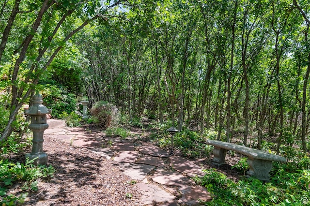 76 N Bald Mountain Dr, Alpine, UT 84004