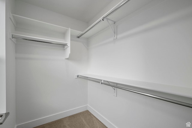 1766 W 160 S Unit 49, Pleasant Grove, UT 84062 - walk in closet with carpet