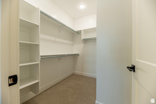 4337 W 5430 S Unit D, Roy, UT 84067 - spacious closet with carpet
