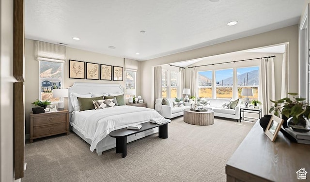 1044 S 3170 E Unit 219, Spanish Fork, UT 84660 - bedroom with carpet and recessed lighting