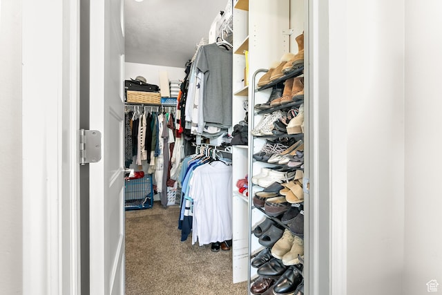 137 Stern Ct, Stansbury Park, UT 84074 - walk in closet featuring carpet