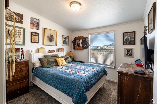 16 E Pearly Ln, La Sal, UT 84530 - bedroom with dark carpet, crown molding, a textured ceiling, and baseboards